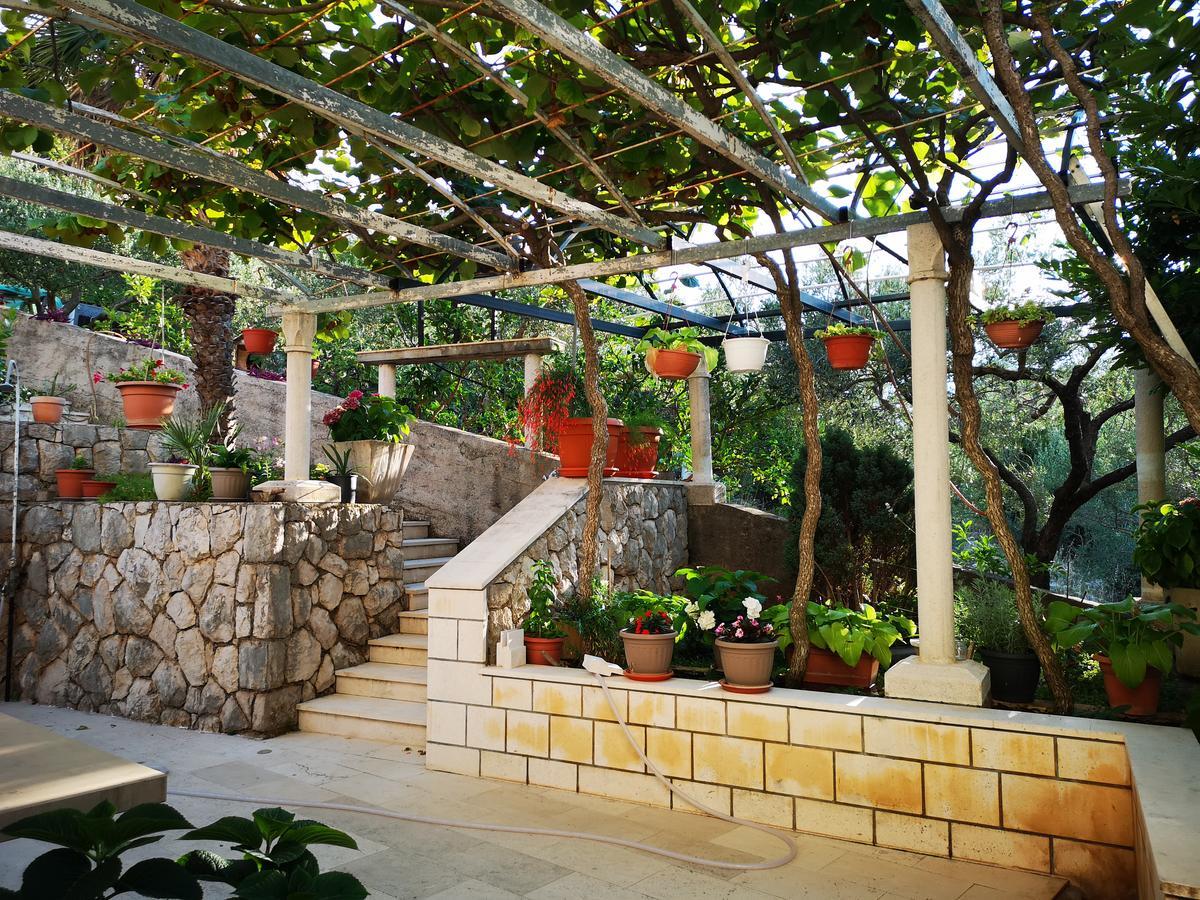 Apartments And Rooms Villa Mir Затон Экстерьер фото